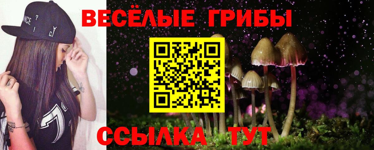 Галлюциногенные грибы Psilocybine cubensis Сорочинск