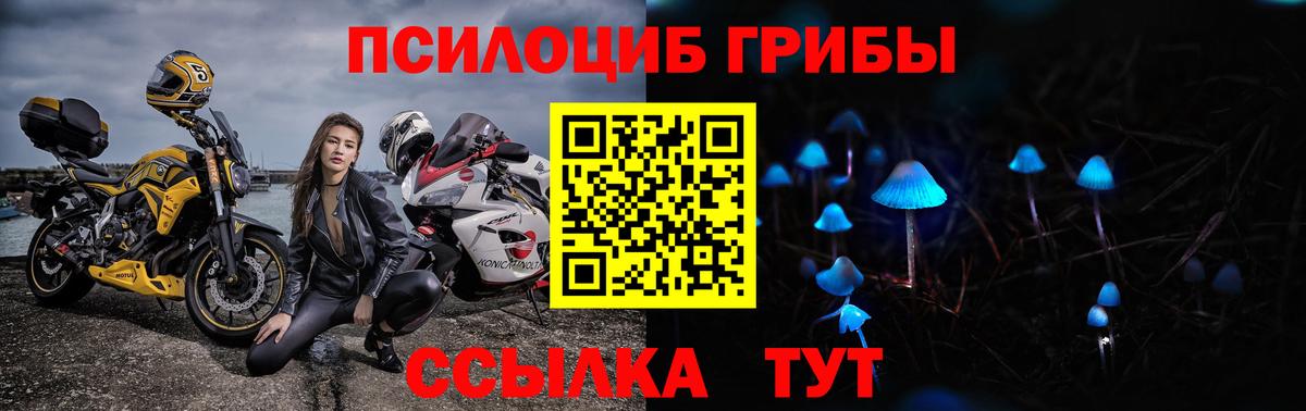 Галлюциногенные грибы прущие грибы  Вход с VPN  Сорочинск 